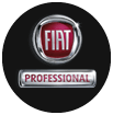 fiat professional logo